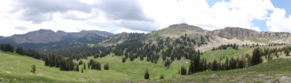 A panorama view of the snow speckled meadows along the tree line below the palisades.